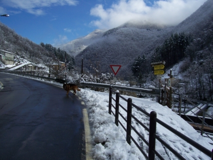  Image name: molino 2008 pasqua 030.jpg 
 width: 425 pixel 
 height: 319 pixel 
 Size: 120843 bytes 
 Click to enlarge 